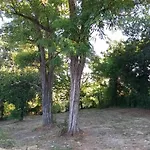 Oasi Santaquilina 33962 - 78613 * リミニ