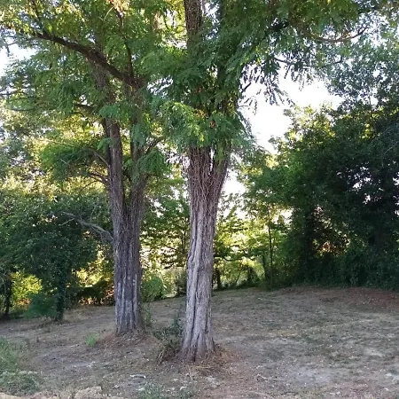 Oasi Santaquilina 33962 - 78613 * リミニ