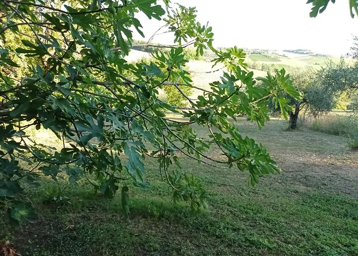 Oasi Santaquilina 33962 - 78613 *