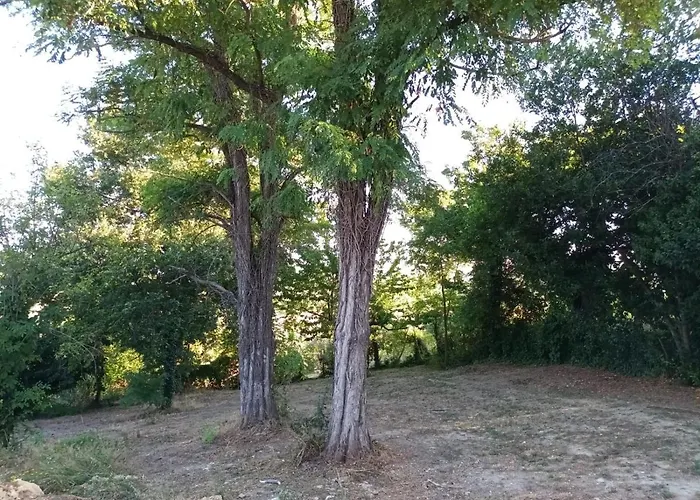 Oasi Santaquilina 33962 - 78613 * Rimini