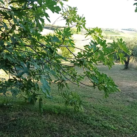 Oasi Santaquilina Chi-Ama 33962 - 78613 *